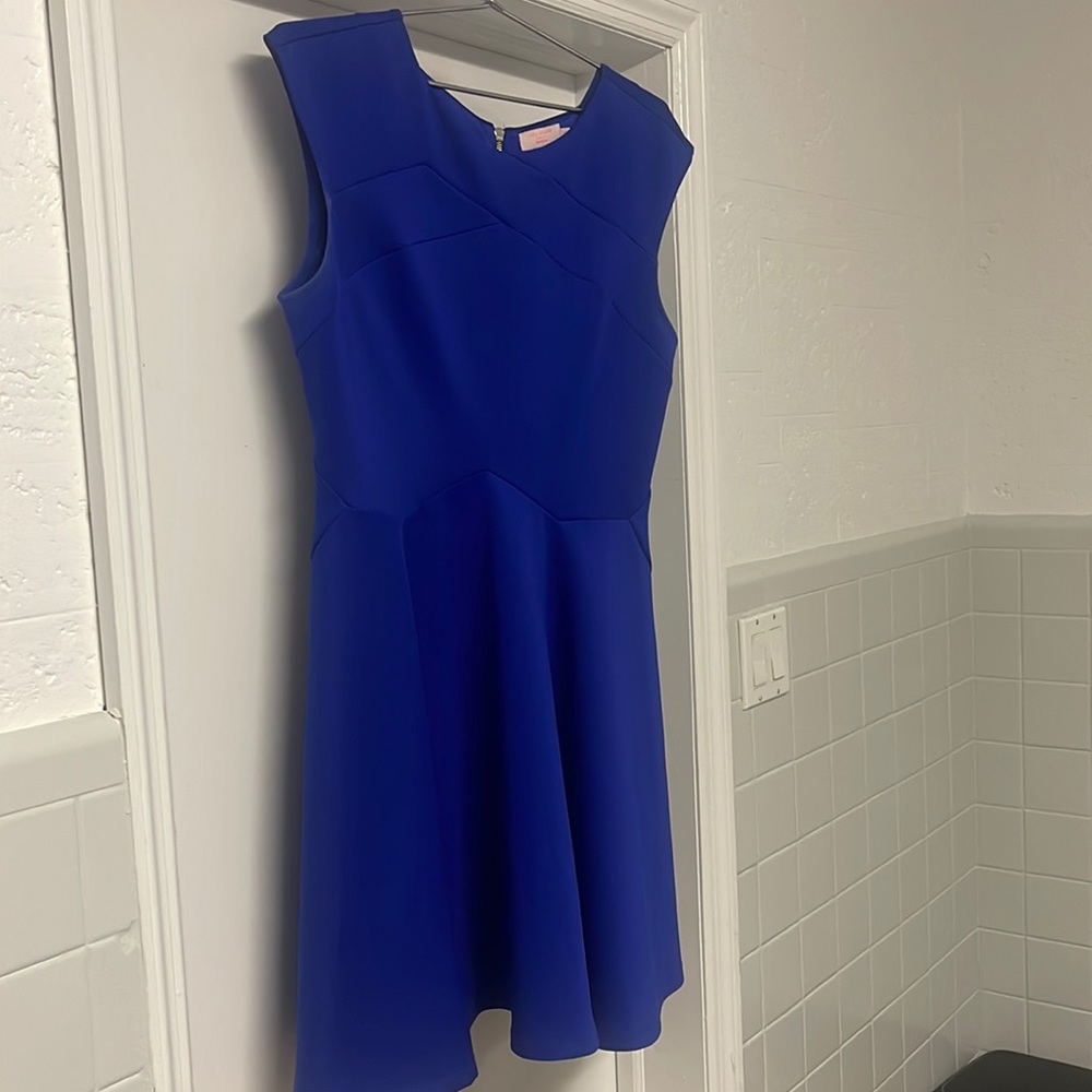 Stunning Ted Baker sleeveless dress